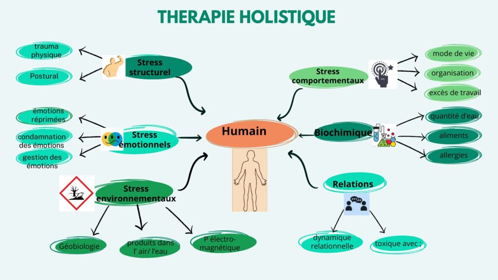 Mindmap pour donner une idée des éléments pris en compte quand je questionne votre corps